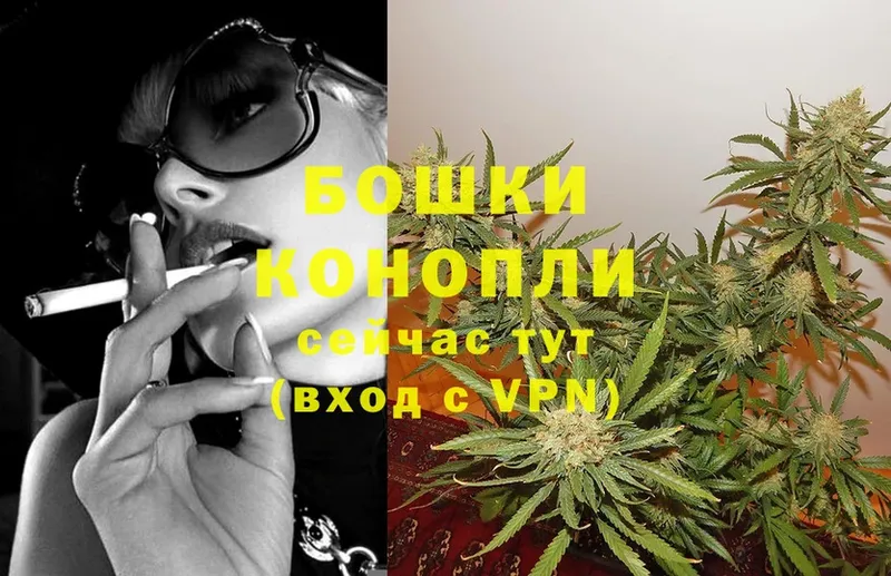 Каннабис OG Kush  Шуя 